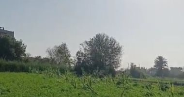 بث مباشر من المنوفية.. تطورات حالة الطقس وموقف الأمطار والظواهر الجوية