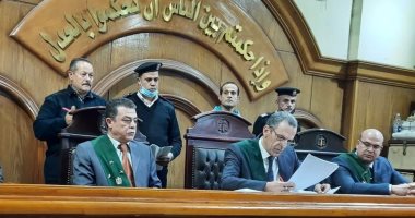 إحالة أوراق سائق بالشرقية قتل وأصاب 7 أشخاص بينهم نجله الرضيع للمفتى