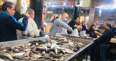 الشبار بـ15 جنيها والبورى المبطرخ بـ50 والجمبرى بـ100.. انخفاض أسعار الأسماك بالإسماعيلية.. لايف 