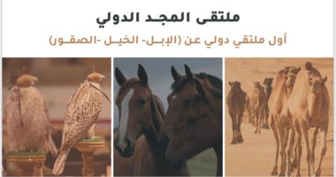 ملتقى المجد الدولي.. خطوة نحو التعاون المشترك بين الإبل والخيل والصقور بقيادة السعودية