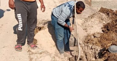 محافظ سوهاج: زراعة 50 ألف شجرة ضمن مبادرة محافظة خضراء بكافة مراكز المحافظة