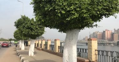 طقس الغربية .. شمس ساطعة على ضفاف النيل ونشاط خفيف للرياح.. لايف