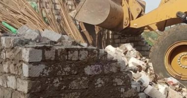 إزالة 15 حالة تعد بالبناء على أملاك الرى بقرية تونا الجبل بالمنيا 