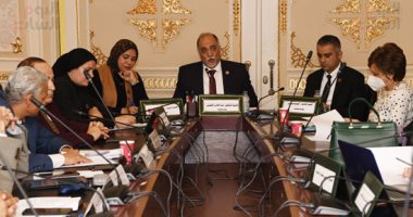 لجنة التضامن بمجلس النواب توصى بتخصيص مساحة من الشواطئ لذوى الإعاقة