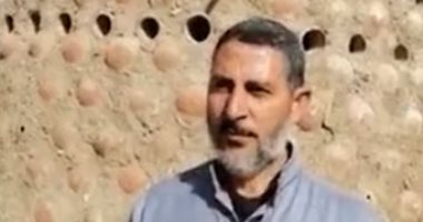 "يا حمام بتنوح ليه".. أبراج طائر السلام تزين مزارع الفيوم.. لايف