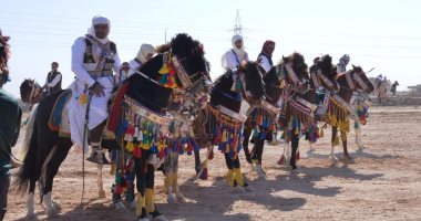 حكاية معركة وادى ماجد ضد الاحتلال عام 1915 والعيد القومى لمطروح.. لايف