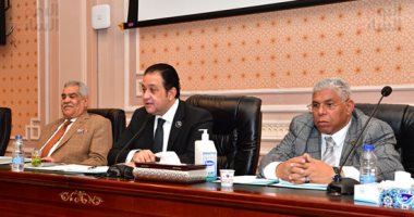 نائب بالتنسيقية: الدولة تتحرك بخطى ثابتة نحو التنمية والرقى فى عهد الرئيس السيسي