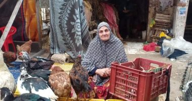 قبل أعياد الكريسماس.. جولة فى سوق الطيور بالإسكندرية.. استقرار فى الأسعار وزيادة الطلب على الديك الرومى.. سعر الكيلو يبدأ من 55 جنيه والبط بديلا.. بائع: طيور التربية المنزلية أهم ما يميز الأسواق الشعبية.. صور