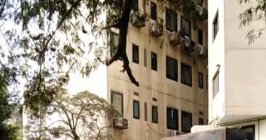 بث مباشر.. آخر تطورات إحالة كريم الهوارى للجنايات فى حادث مصرع 4 طلاب بالشيخ زايد