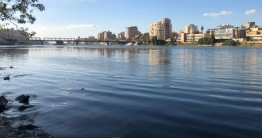 طقس مستقر بمحافظة الدقهلية.. والمنصورة تشهد برودة شديدة ورياح خفيفة.. فيديو