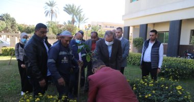 محافظ كفر الشيخ يزرع أشجارا مثمرة ويوجه بزراعتها بالشوارع والمدارس.. صور