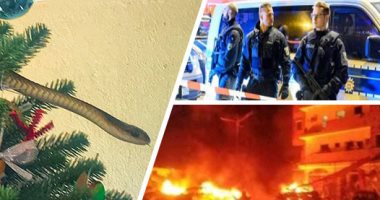 العالم هذا المساء.. السجن 8 سنوات لمسن بتر الأعضاء التناسلية لـ8 رجال فى المانيا..عائلة بريطانية تكتشف ثعبانا ساما داخل شجرة الكريسماس بمنزلهم.. واندلاع حريق هائل فى مركز التجارة الدولى بهونج كونج.. فيديو وصور