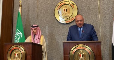 وزير خارجية السعودية يؤكد ضرورة إجراء الانتخابات الليبية وإخراج المرتزقة