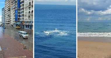 عجائب نوة الفيضة الصغرى بالإسكندرية.. أمطار متوسطة فى مناطق وطقس ربيعى فى مناطق أخرى مع توقف شدة الرياح.. المحافظ يعلن تعطيل الدراسة.. والصرف الصحى: تجمعات بسيطة لمياه الأمطار و جارى التعامل معها