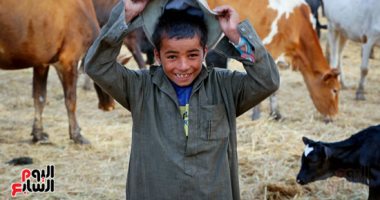 وجوه مبتسمة رغم الشقاء.. البدو الرحل بالشرقية مهنتهم رعى الغنم منذ 150 عام.. ألبوم صور