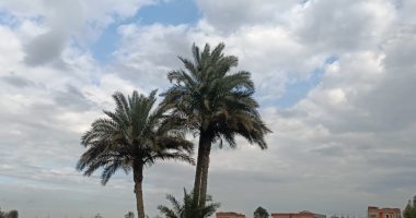غيوم وأمطار خفيفة وانخفاض فى درجة الحرارة بالمنوفية.. لايف