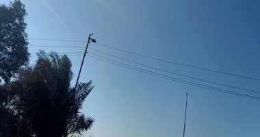 طقس الشرقية الآن.. شمس ساطعة وسماء صافية مع رياح بسيطة وبرودة بالجو