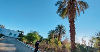 الزيارة الملكية للوادى الجديد.. هنا استراح الملك فاروق خلال رحلته للصحراء الغربية