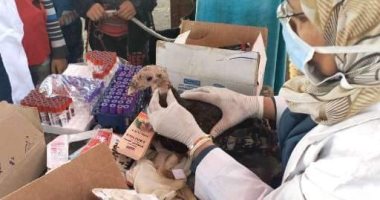 قافلة بيطرية بالمجان فى منشأة أبو عمر بالشرقية ضمن مبادرة "حياة كريمة"