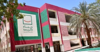 حياة كريمة.. محافظ أسوان: 811 مشروعا بتكلفة 14.1 مليار جنيه
