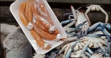 كيلو البطروخ بـ 350 جنيها والجمبرى بـ 110 فى سوق السمك بالإسماعيلية.. فيديو