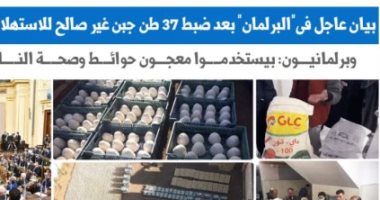 ضبطية الجبنة الفاسدة بالمنوفية تصل مجلس النواب.. نقلا عن "برلمانى"  