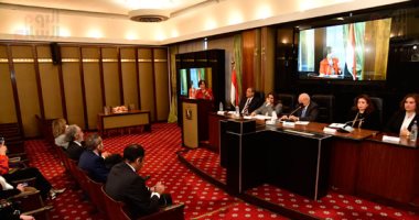 "خارجية الشيوخ" تناقش أثر تطبيق قانون الهجرة ورعاية المصريين بالخارج.. صور