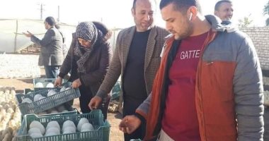 ضبط مصنع جبن به 37 طنا غير صالح للاستهلاك الآدمى فى المنوفية