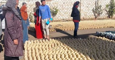 صحة المنوفية: لا يمكن الجزم باستخدام "مواد البناء" المضبوطة فى صناعة الجبن قبل تحليلها