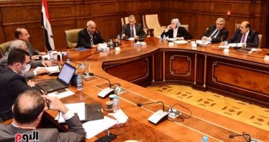 طاقة النواب: اتفاقية البحث عن البترول بخليج السويس تحقق عائدا جيدا للدولة