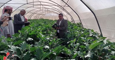 مشروعات بالجملة على أرض الفيروز.. زيادة الاستثمارات الموجهة لـ415%.. إنفاق 650 مليار جنيه على مشروعات التنمية.. 18 ألف أسرة تستفيد من برنامج تكافل وكرامة.. و 338.9 ألف مواطن يستفيدون من البطاقات التموينية.. صور
