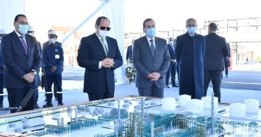 الرئيس السيسي: شركة خاصة أخدت 75مليار جنيه فى 7سنين.. إزاى مش بتشتغل؟