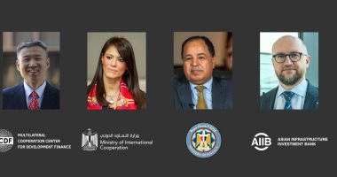 وزير المالية: الرئيس السيسى نجح فى إرساء دعائم التنمية.. وتهيئة مناخ جاذب للاستثمار