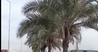 طقس المنوفية الآن.. برودة فى الجو وانخفاض فى درجات الحرارة.. لايف