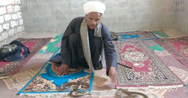 "الصغير".. أشهر حاوى بقنا لصيد الثعابين والعقارب فى المنازل والطرقات.. تعلم المهنة من والده منذ 40 عاما.. يشتم رائحة الثعبان من على بعد أمتار.. ويكشف طريقته فى السيطرة على الأفاعى.. فيديو