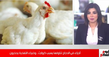 تحذيرات هامة للأمهات أثناء طهى الشوربة.. تجنبى مكعبات مرقة الدجاج واعرفى خطورتها.. فيديو