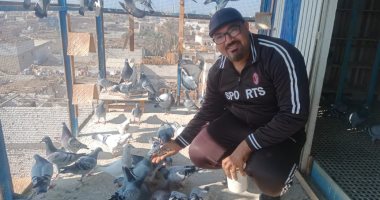 تربية الحمام الزاجل هواية الملوك.. الجانسون ودكلاك وكومبان وفالون" أشهر السلالات.. أسعاره تتجاوز 50 ألف جنيه.. أحد المربين: نخوض مسابقات وفرحة الفوز لا توصف.. ونحصنه قبل التدريبات للتأكد من سلامته.. فيديو وصور