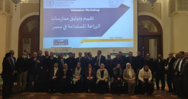 الفاو: ممارسات الزراعة الجيدة بمصر نجحت في خفض 50% من استهلاك المياه والطاقة