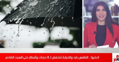 تعرف على حالة الطقس ودرجات الحرارة فى مصر خلال الساعات القادمة (فيديو)