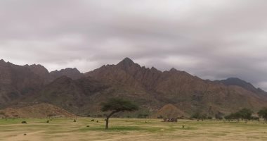 طبيعة ساحرة ومناظر خلابة.. 15 صورة ترسم جمال محمية جبل علبة بالبحر الأحمر (ألبوم صور)