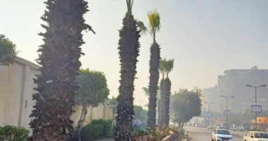 تكثيف أعمال النظافة والتجميل بشوارع القاهرة استعدادا لاحتفالات رأس السنة.. صور