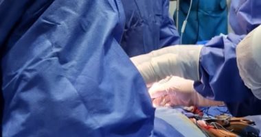 عضو اللجنة العليا لزراعة الأعضاء: التبرع بالأعضاء أمر سائر في عديد من الدول العربية