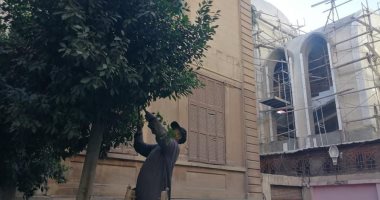 حملة لقص الأشجار فى محيط الكنائس قبل احتفالات عيد الميلاد المجيد .. صور