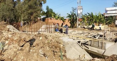 خلية نحل.. مشروعات حياة كريمة ترى النور بمركز زفتى فى الغربية.. لايف