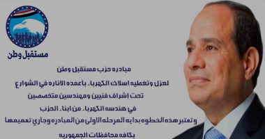 مستقبل وطن يطلق مبادرة لعزل وتغطية أسلاك الكهرباء بأعمدة الإنارة في الشوارع