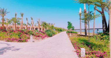 "شوفوا روعة التطوير".. الممشى السياحى بمدينة أسوان الجديدة فى أبهى صورة