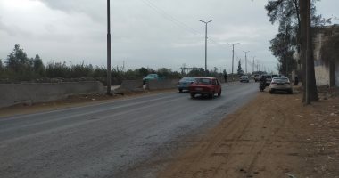  أمطار متوسطة بمحافظة الغربية وسماء ملبدة بالغيوم.. لايف
