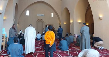 سمك موسى ومحسنة وقاروص أشهرها.. اعرف أنواع وأسعار أسماك سوق كفر الشيخ.. لايف