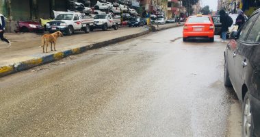 سقوط أمطار بالإسماعيلية .. والمحافظة ترفع حالة الطوارئ.. لايف وصور