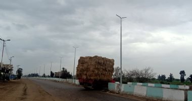 طقس بارد وسماء ملبدة بالغيوم ورياح شديدة بالشرقية.. لايف
